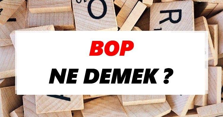Biz yıllardır ABD’nin emperyalist politikalarına karşı çıkan ülkelerde olup bitenleri…
Hatta