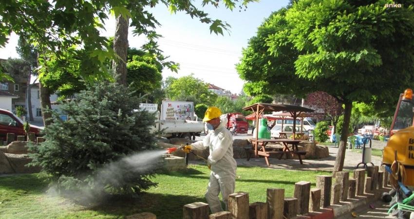 Bozkurt Belediyesi, havanın ısınmasıyla artan sivrisinek, haşere ve böcek popülasyonun