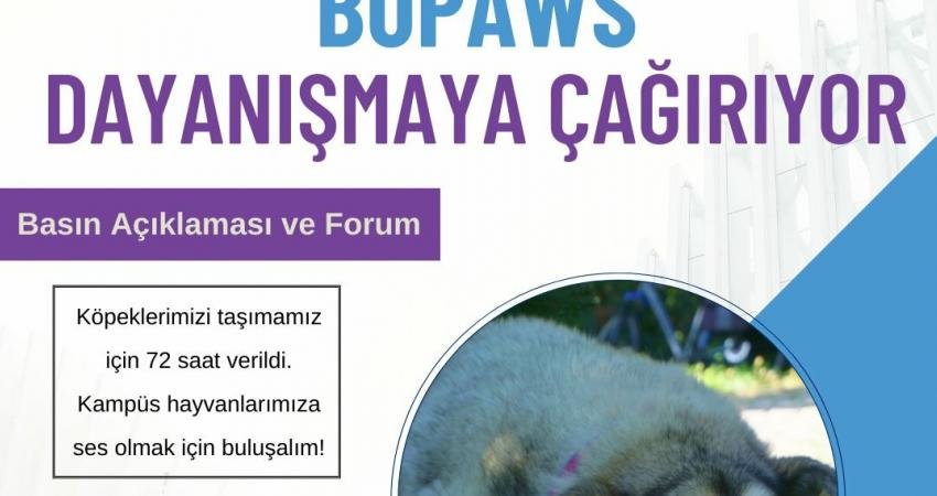 Bupaws’tan Dayanışma Çağrısı: “Boğaziçi Üniversitesi Yönetiminin Yuvalarından Atmaya Çalıştığı 42 Köpeğe Ses Olalım” Boğaziçi Üniversitesi yönetiminin geçen mart ayında kampüs dışına taşıdığı barınaktaki