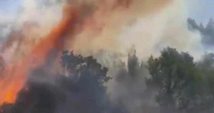 Burdur’un Bucak ilçesinde ormanlık alanda çıkan yangın söndürüldü. Yangında yaklaşık