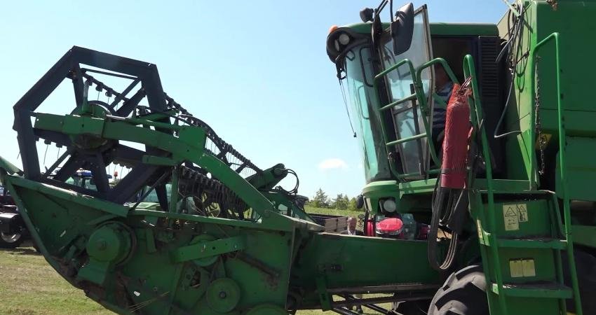 Büyükçekmece’de geleneksel hasat etkinliği bu yıl da buğday hasadıyla yapıldı.