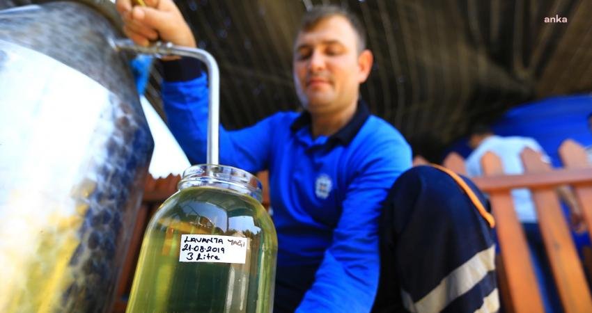 Muğla Büyükşehir Belediyesi Tıbbi Aromatik Bitkiler ve Yerel Tohum Merkezi’nde