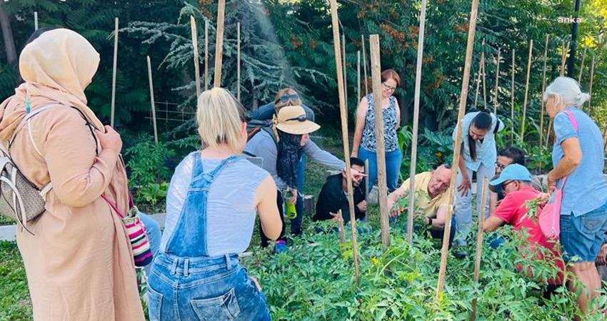 Çankaya Belediyesi'nin vatandaşlara kentte tarım imkanı sunan Kent ve Tarım