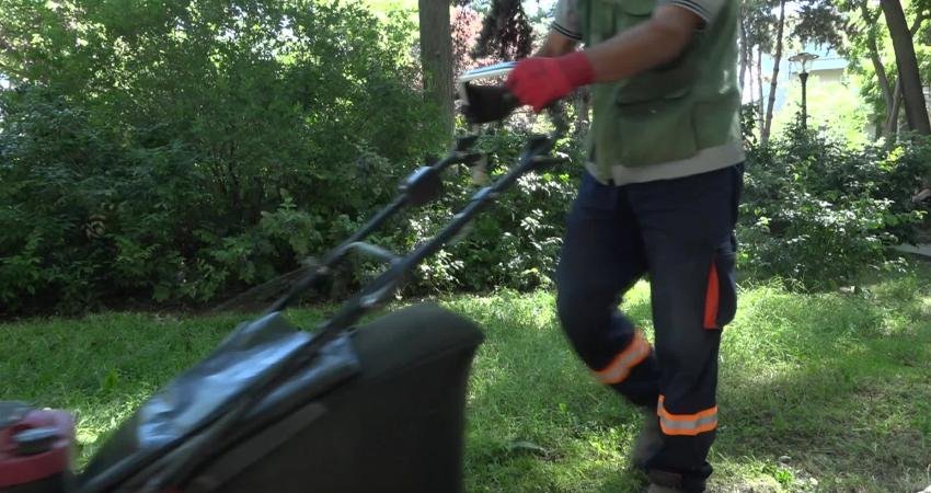 Çankaya Parklarında Yaz Bakımı Çankaya Belediyesi, ilçedeki parklarda çim biçme ve ilaçlama çalışmalarına başladı.