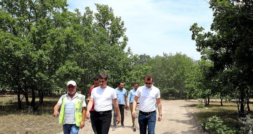 Kartaltepe Piknik ve Mesire Alanı yanında bulunan 58 hektarlık alanın