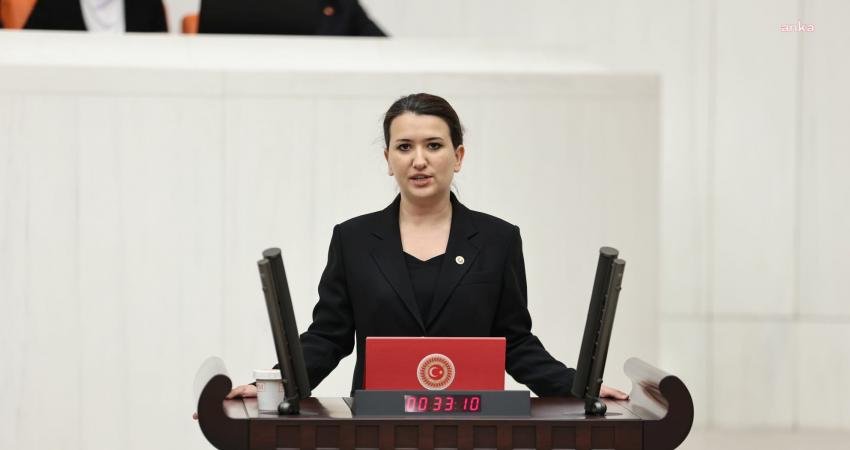 CHP İzmir Milletvekili Gökçe Gökçen, Cumartesi Anneleri’nin oturma eyleminin Anayasa