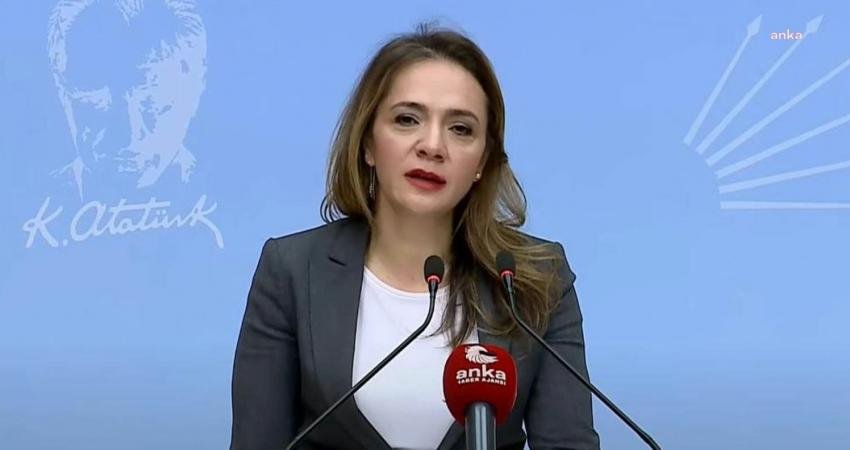 CHP İstanbul Milletvekili Gamze Akkuş İlgezdi, Kültür ve Turizm Bakanlığı