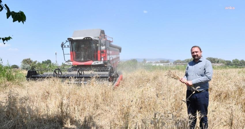 Çiğli Belediyesi, Kaklıç Mahallesi'nde belediyeye ait 57 dönüm araziye ektiği