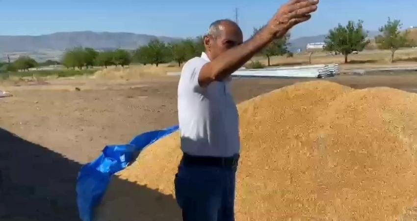 Elazığlı çiftçiler, Toprak Mahsulleri Ofisi’nin buğday alımında randevu sistemiyle tek