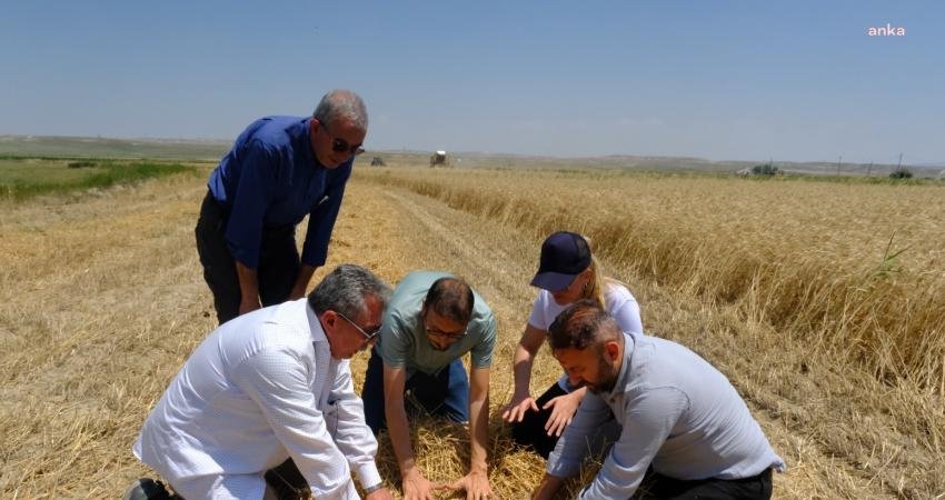 Eskişehir Büyükşehir Belediyesi’nin “Küçük Çiftçiyi Destekleme Projesi” kapsamında yürütülen küçük