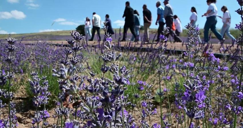 Fransa’da 23 yıldır yaşayan Sevim Biçer, çiftçilik hayalini gerçeğe dönüştürmek
