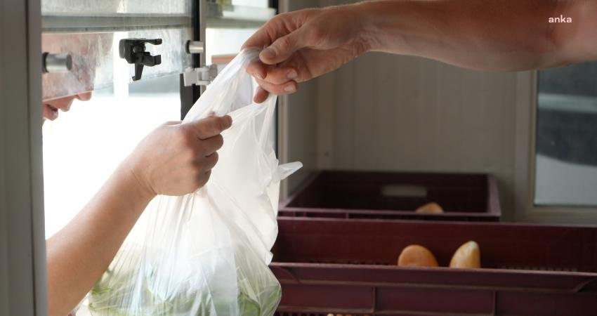 Gemlik Belediyesi, seralarında ürettiği sebzeleri piyasa koşullarının altında bir fiyatla