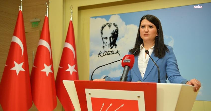 CHP İzmir Milletvekili Gökçe Gökçen, halen cezaevinde tutuklu olan TİP