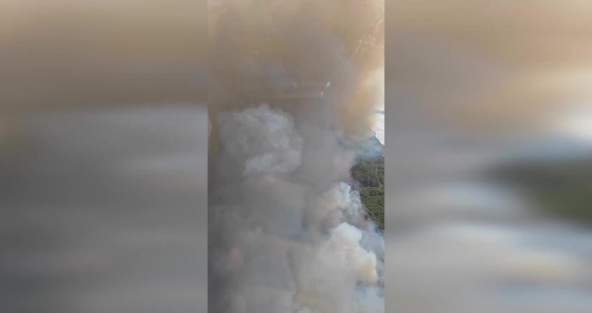 Gökçeada’da Orman Yangını Çıktı Gökçeada’da orman yangını çıktı. Çanakkale Orman Bölge Müdürlüğü, “Çanakkale’de konuşlu