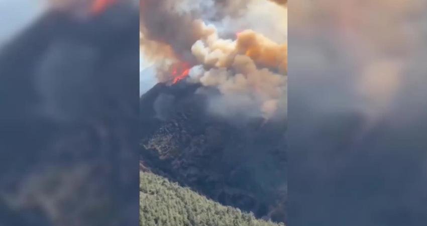 Hatay'ın Belen ve İzmir’in Çeşme ilçelerinde orman yangını çıktı. Orman