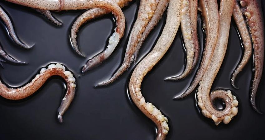 Bilim insanları, mikrodalganın yanı sıra kızılötesi ve ışığı da engelleyebilen