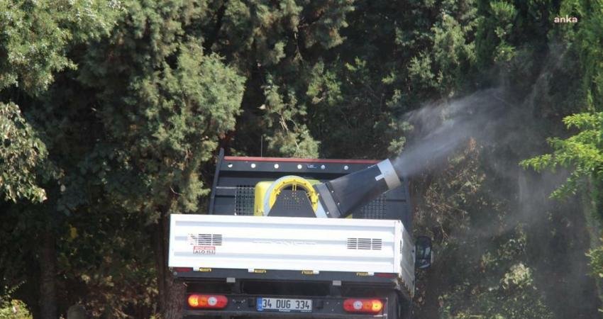 İstanbul Büyükşehir Belediyesi (İBB), küresel ısınma sebebiyle daha da yaygınlaşan