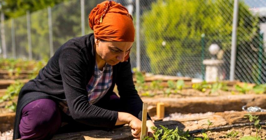 İzmir Büyükşehir Belediyesi tarafından başlatılan ‘Mahalle Bostanları’ projesi, İzmir’in farklı