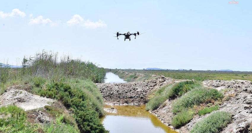 İzmir Büyükşehir Belediyesi, düzensiz yağışların etkisiyle artan sivrisinek popülasyonu ile
