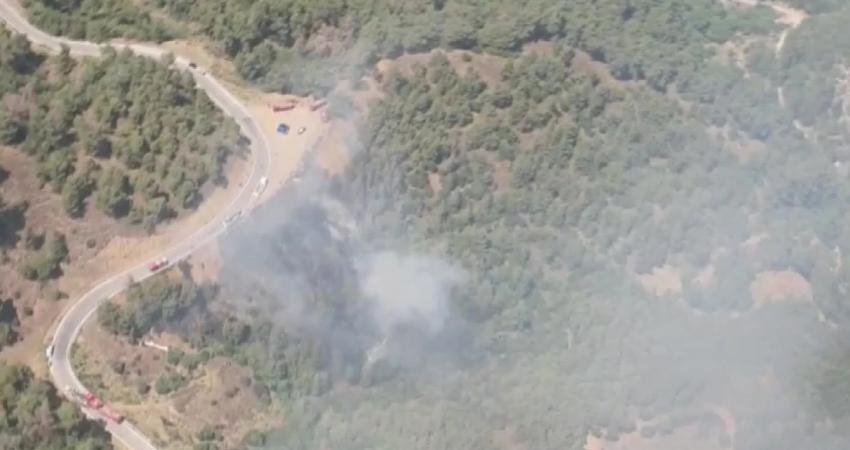 İzmir’in Kemalpaşa ve Menemen ilçelerinde orman yangın çıktı. Kemalpaşadaki orman