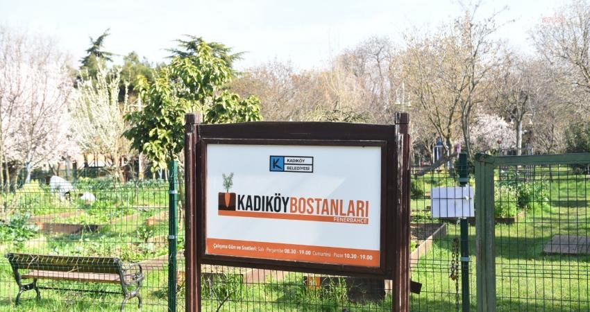 Kadıköy Bostanlarında Hasat Zamanı Kadıköy Belediyesi’nin “Her Mahalleye Bir Bostan” sloganıyla dört faklı mahallede