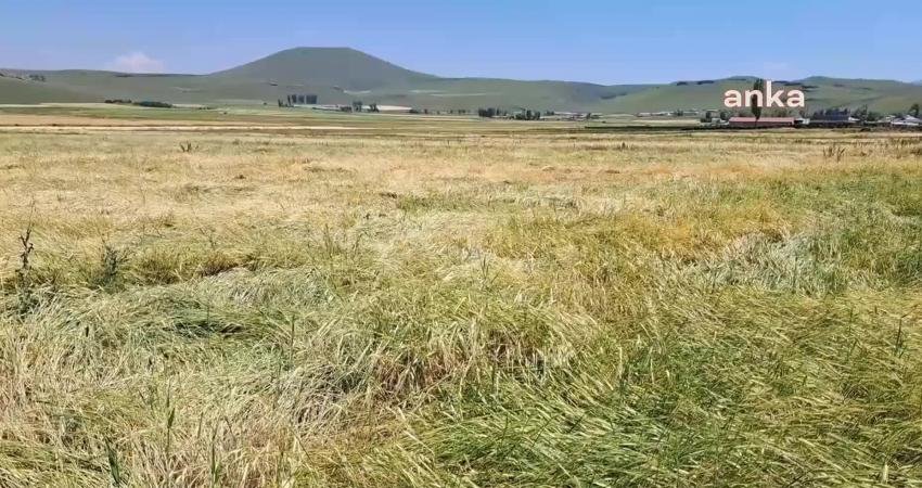 Kars'ta son günlerde yaşanan şiddetli sağanak yağış, dolu ve sel