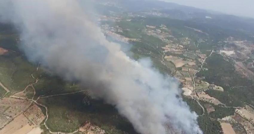 İzmir'in Kınık ilçesinde çıkan orman yangınına havadan ve karadan müdahale