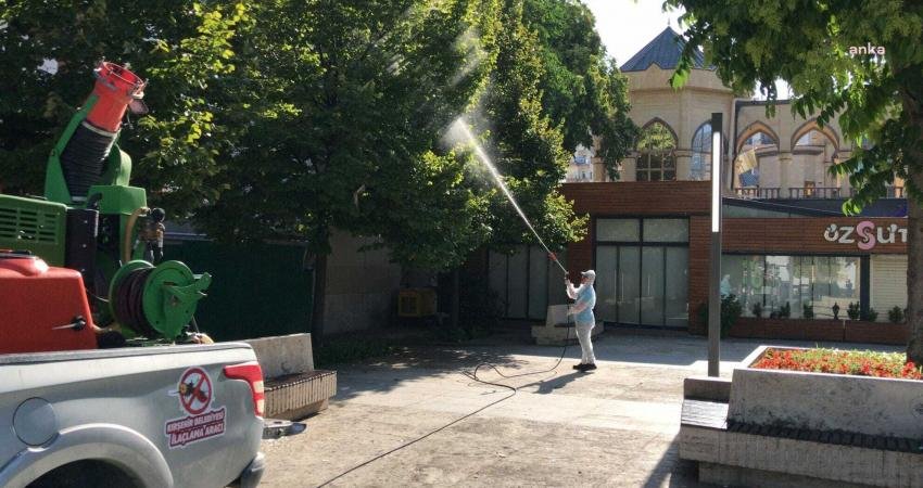 Kırşehir Belediyesi Veteriner İşleri Müdürlüğü'ne bağlı ekipler, ağaçlarda yaprak bitine