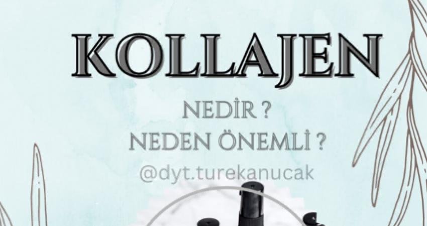 Hepimizin sıklıkla ismini duyduğu kollajen proteini aslında sandığımızdan çok daha