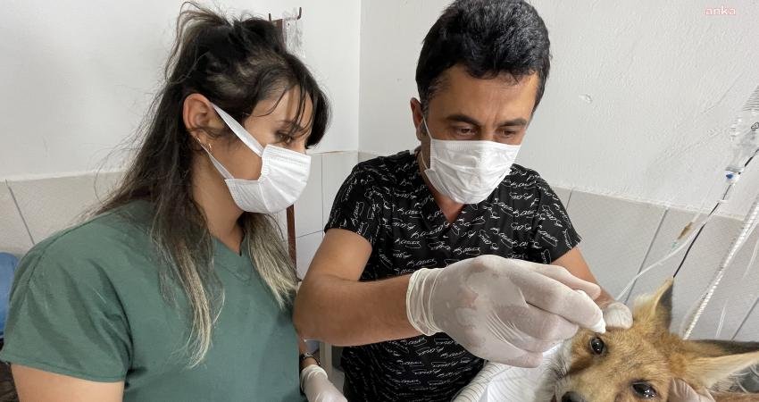 Kumluca Belediyesi çevre sağlığı personeli, atandaşlar tarafından yapılan ihbar üzerine