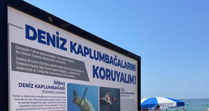 Kuşadası Belediyesi, kentte bulunan 2 plaja yumurtalarını bırakan caretta caretta