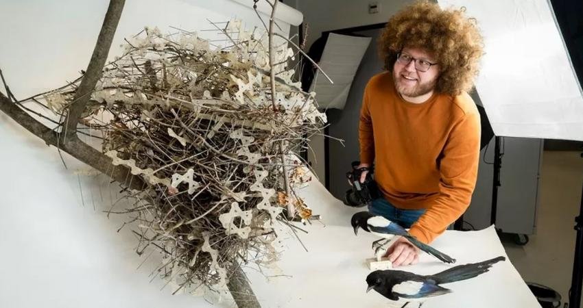 Kuşlar, kendilerine karşı kurulan tuzakları "çalarak" yuvalarını korumak için kullanıyor.