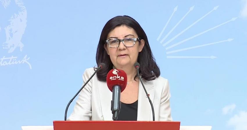 CHP Genel Başkan Yardımcısı Lale Karabıyık, "Öğrenci geçinemiyor, burs sorunu