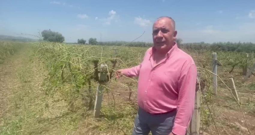 Manisa'nın Salihli ilçesinde etkili olan dolu yağışı, Sart, Hasalan, Kapancı