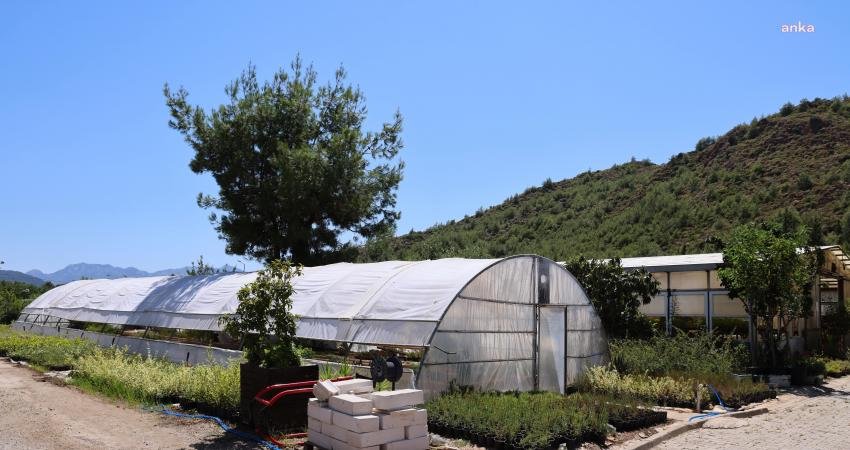 Marmaris Belediyesi, 4 yıllık süreçte kendi öz kaynaklarıyla seralarda 1