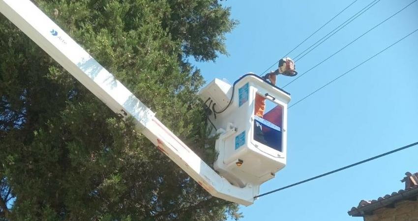 Marmaris’te elektrik tellerine değerek tehlike oluşturan ağaçlar belediye ekiplerince budanmaya