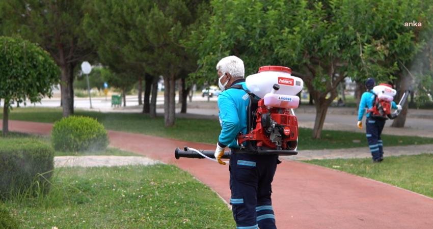 Merkezefendi Belediyesi, yaz aylarında ortaya çıkan sinek ve karasinek gibi