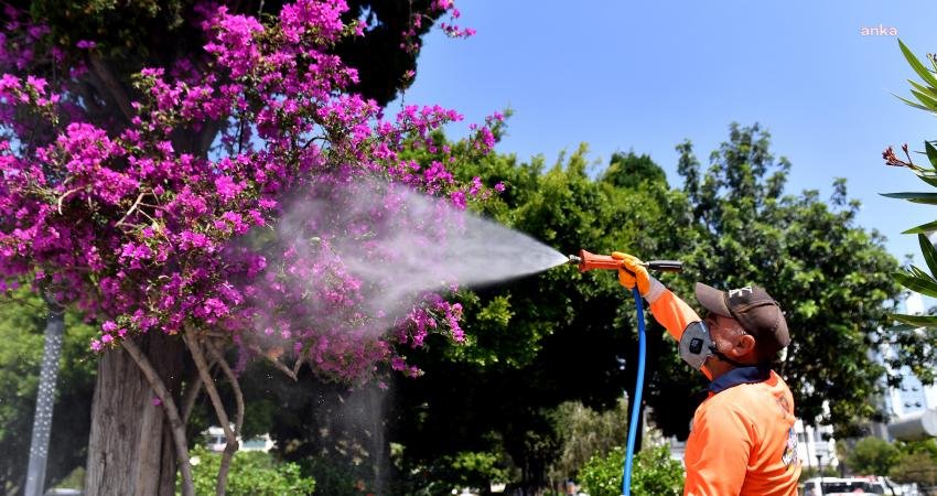 Mersin Büyükşehir Belediyesi, vatandaşların yaz aylarını sağlıklı, huzurlu ve rahat