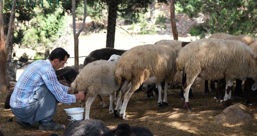 Mersin Büyükşehir Belediyesi, ‘Hadi Gel Köyümüze Destek Verelim’ projesi kapsamında