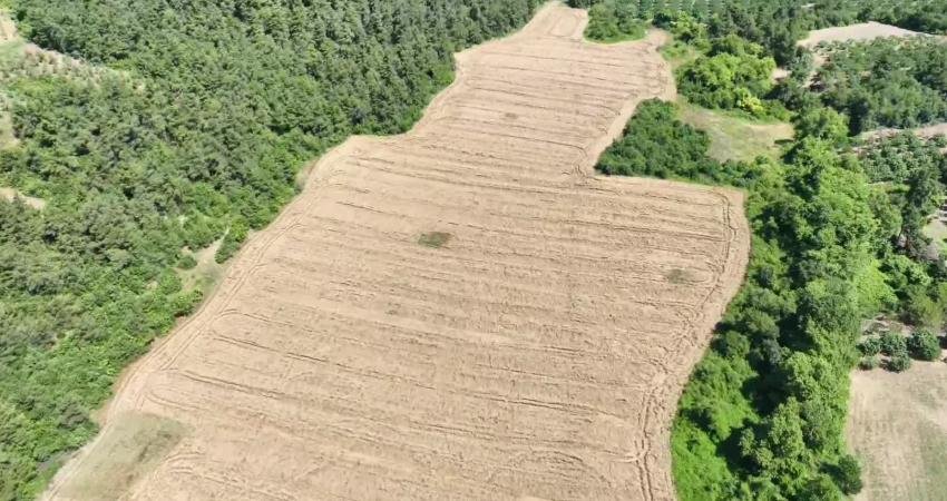Mudanya Belediyesi’nin “Topraktan Halka, Tarladan Sofraya” projesi kapsamında Balabancık Mahallesi’nde