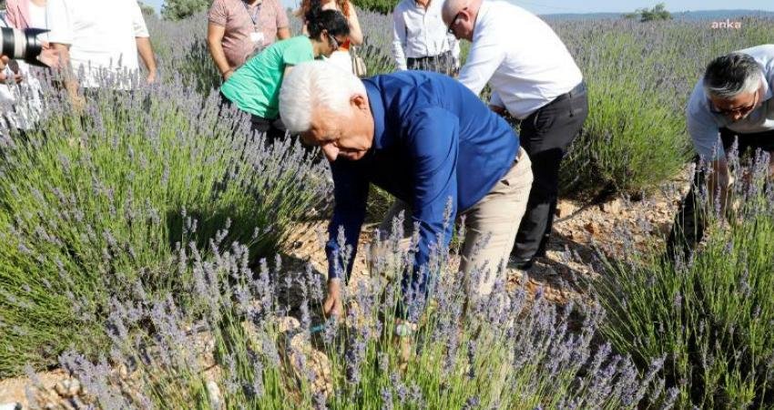 Muğla Büyükşehir Belediyesi'nin alternatif tarım ürünleri oluşturulması ve turizme katkı