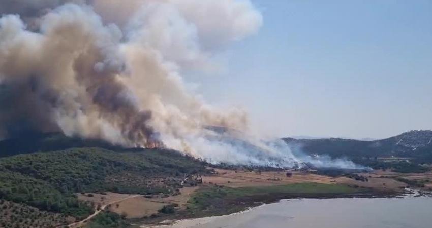 Muğla Milas’ta Orman Yangını Muğla’nın Milas ilçesinde orman yangını çıktı. Yangın, rüzgarın etkisiyle kısa