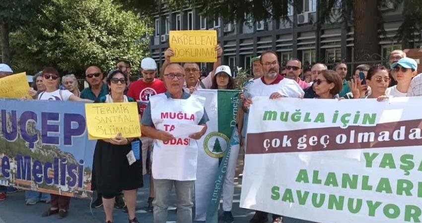 Akbelen Ormanı’nda kömür sahasının genişletilmesi için başlayan ağaç kesiminin durdurulması