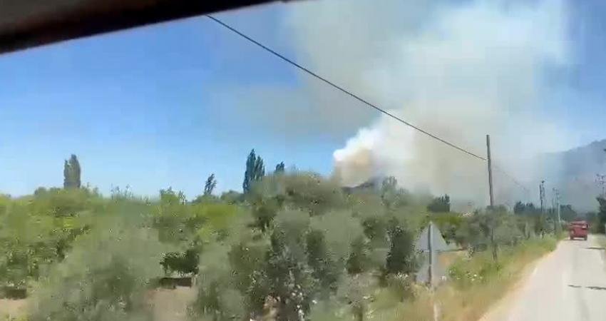 Muğla'nın Ortaca ilçesinde orman yangını çıktı. Yangına havadan ve karadan