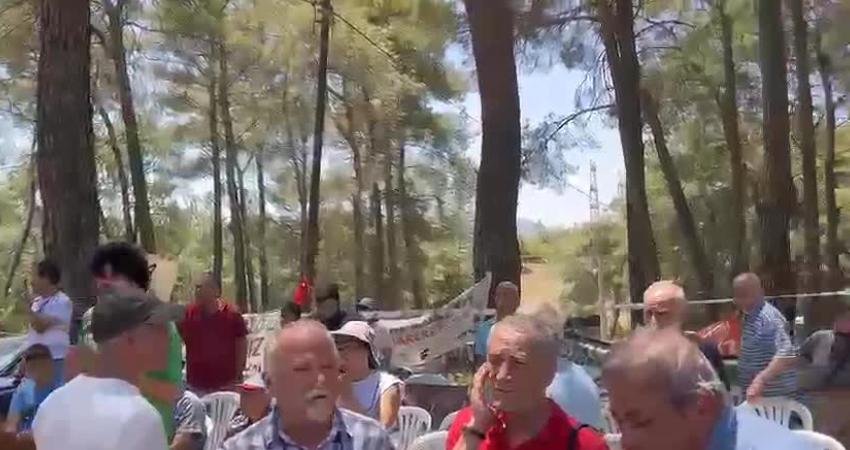 Muğla’nın Milas ilçesinde Akbelen Ormanı’nı YK Enerji'ye karşı savunmak için