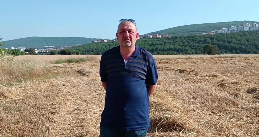 Muğla’da Toprak Mahsulleri Ofisi’nden (TMO) randevu alamayan çiftçinin mahsulü elinde