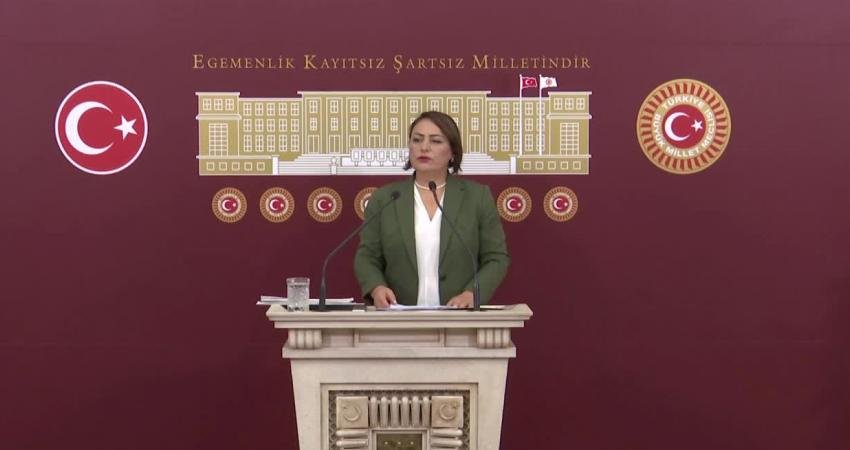 CHP Adana Milletvekili Müzeyyen Şevkin, Cumhurbaşkanı Recep Tayyip Erdoğan’ın ‘Afet