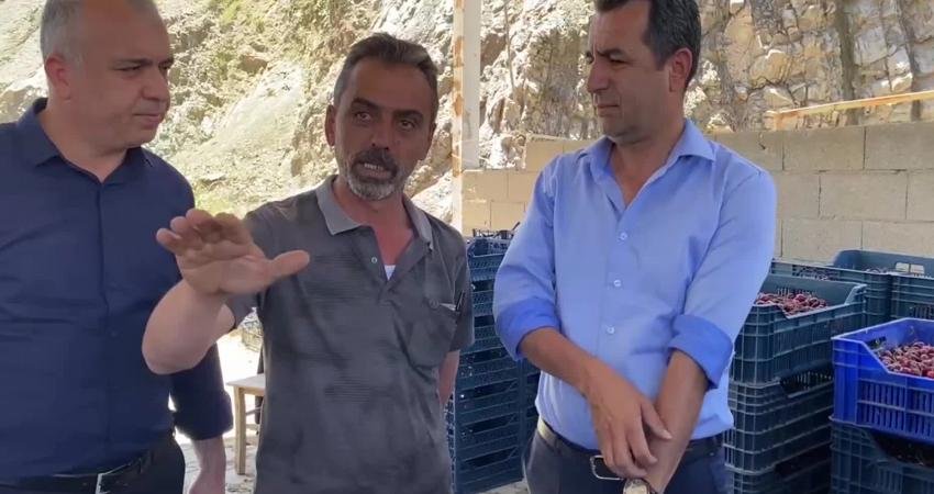 Niğde'nin Ulukışla ilçesinde yaşayan kiraz üreticileri, ürünlerine düşük fiyat verilmesine