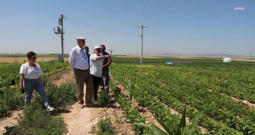 Odunpazarı Belediye Başkanı Kazım Kurt, belediyeye ait kırsal alanları gezerek,