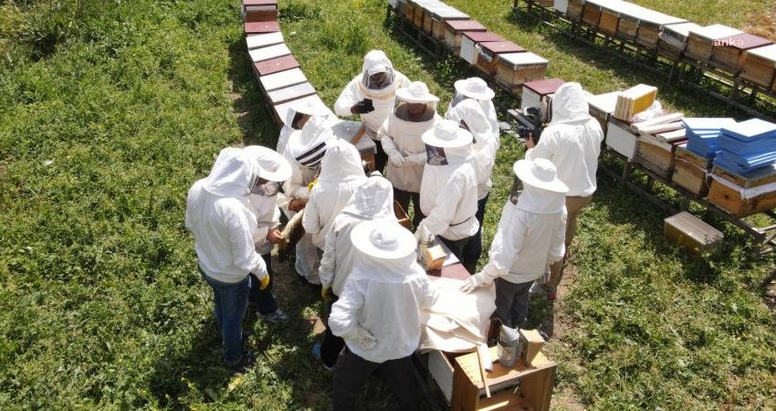 Odunpazarı Belediyesi’nin ‘Arıköy Projesi’nde Pratik Eğitimler Başladı Odunpazarı Belediyesi’nin üniversiteler ve demokratik kitle örgütleri ile iş birliği